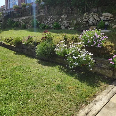 La Casa De Violeta *