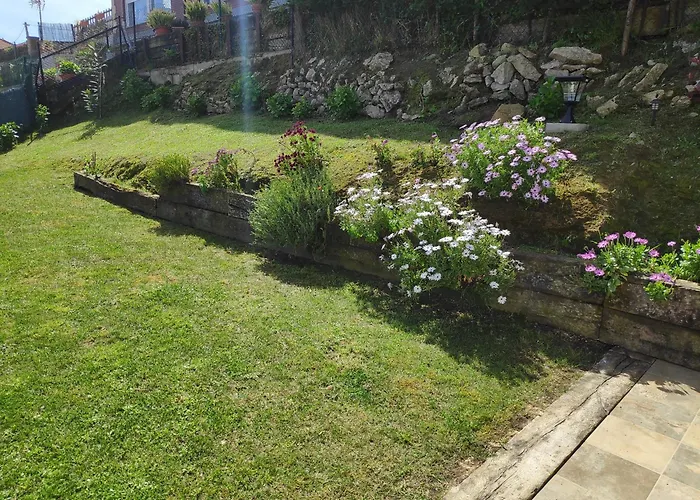 La Casa De Violeta *