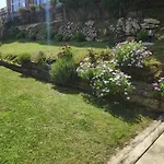 La Casa De Violeta *